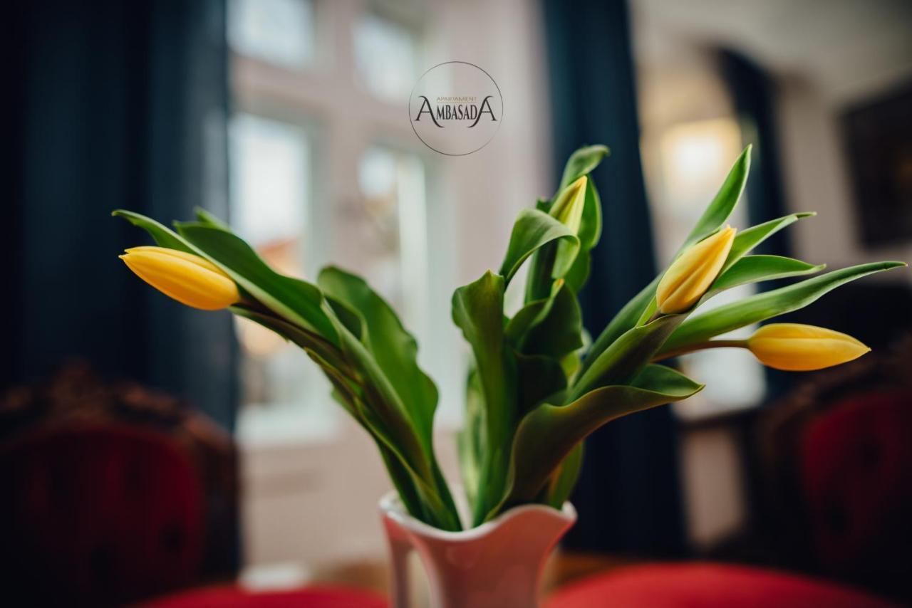 Apartament Ambasada Zamość Exterior foto